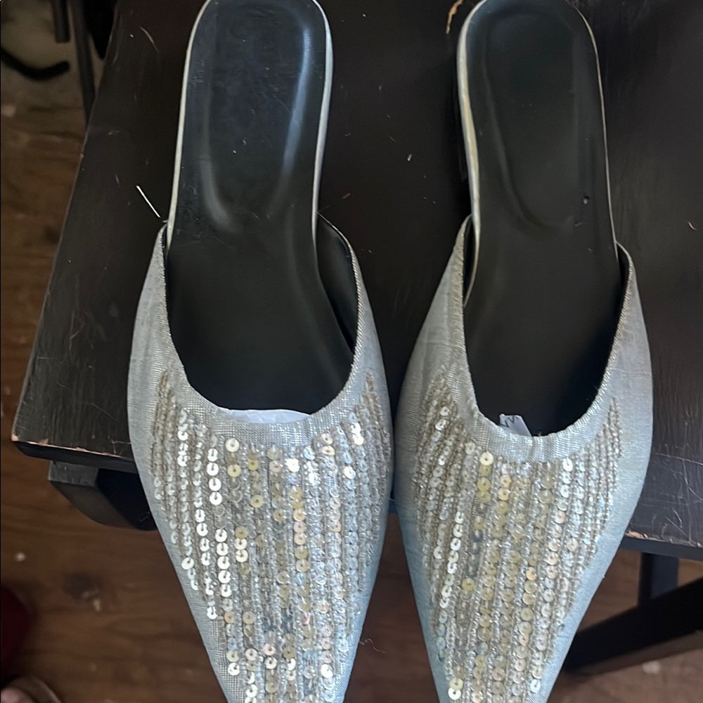Silver Sparkly Mules with Pointed Toe